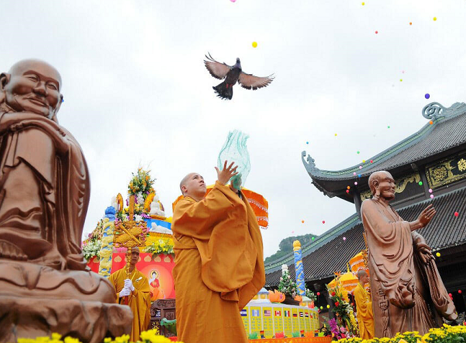 Văn khấn phóng sinh và lễ vật cần chuẩn bị theo đạo Phật