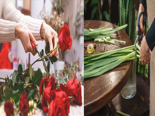 Cách cắm hoa tươi lâu ngày tết - Cắt tỉa cành hoa