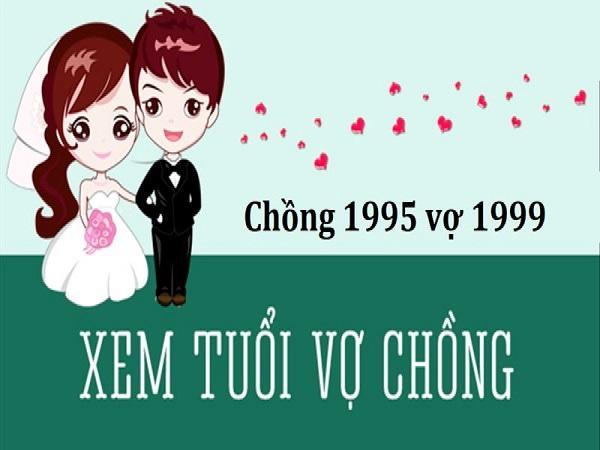 Tổng quan về chồng 1995 và vợ 1999