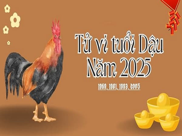 Tổng quan tử vi tuổi Dậu năm 2025