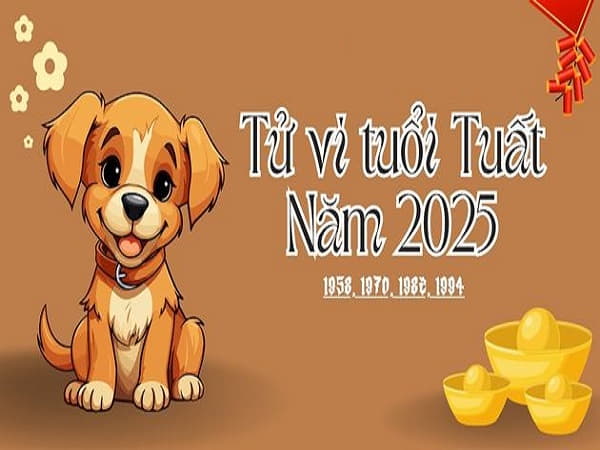 Tổng quan tử vi tuổi Tuất năm 2025